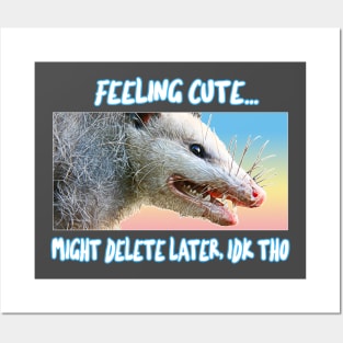 Feeling Cute, Might Delete Later - Funny Possum Design Posters and Art